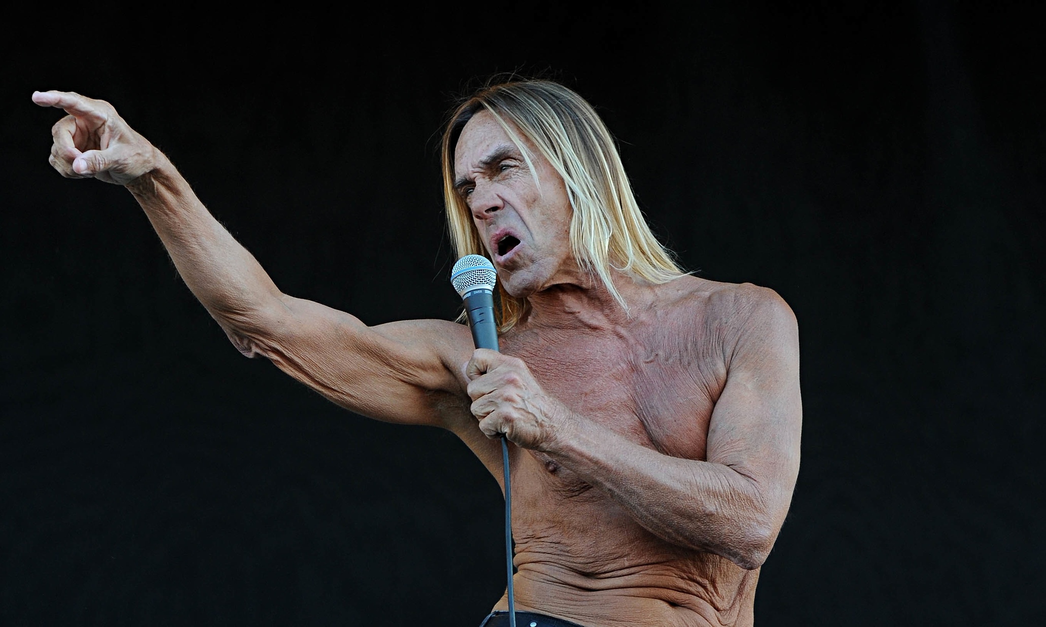 El Ltimo Disco De Iggy Pop Rock Pop