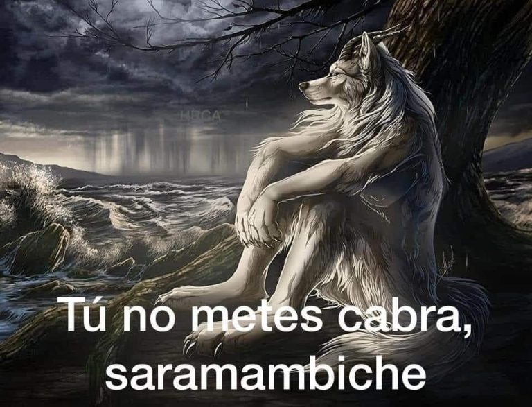 Esta es la razón por la que se han hecho virales los memes sobre lobos