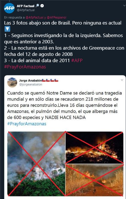 imagenes falsas amazonas