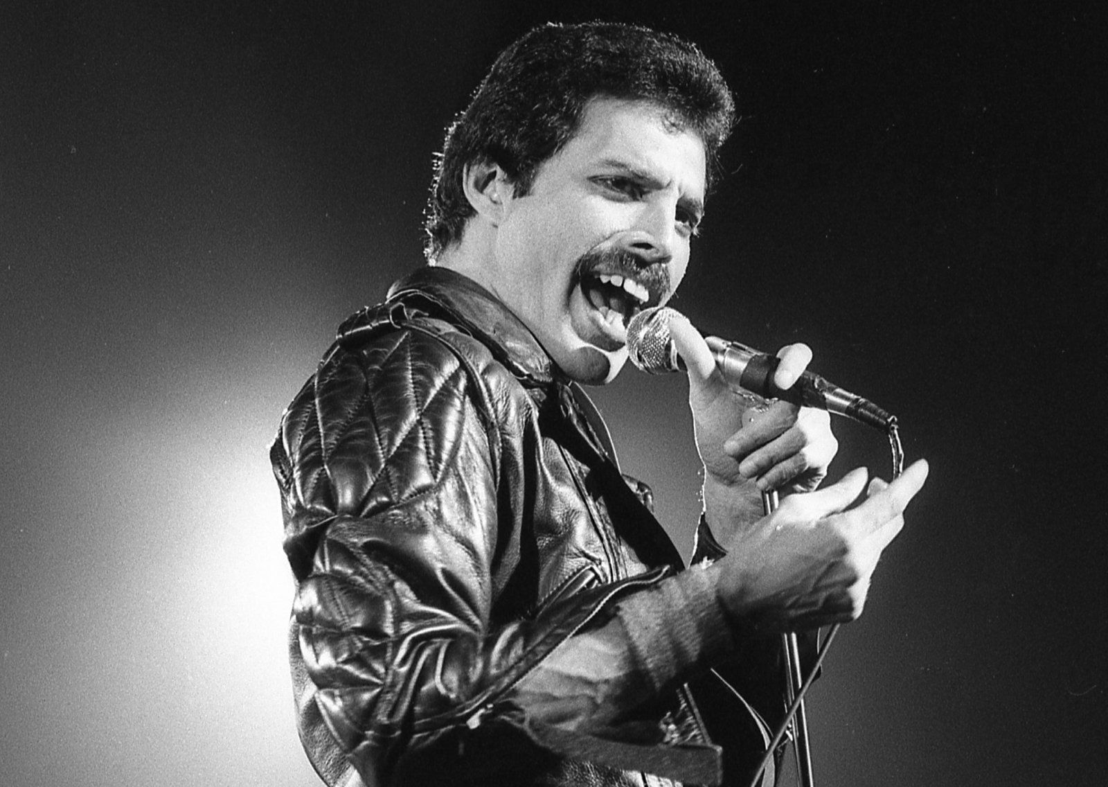 Freddie. Queen Меркьюри. Freddie Mercury young. Фредди Меркьюри песни.