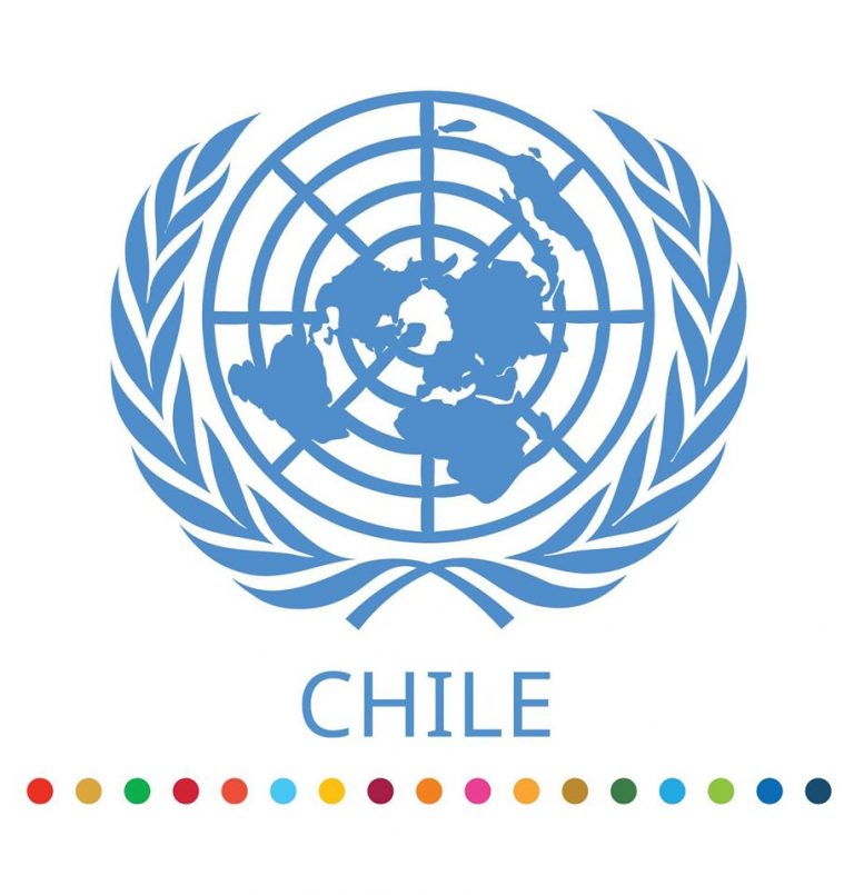 Expertos De La ONU En Chile: "El Estado Debe Abordar Sus Preocupaciones ...