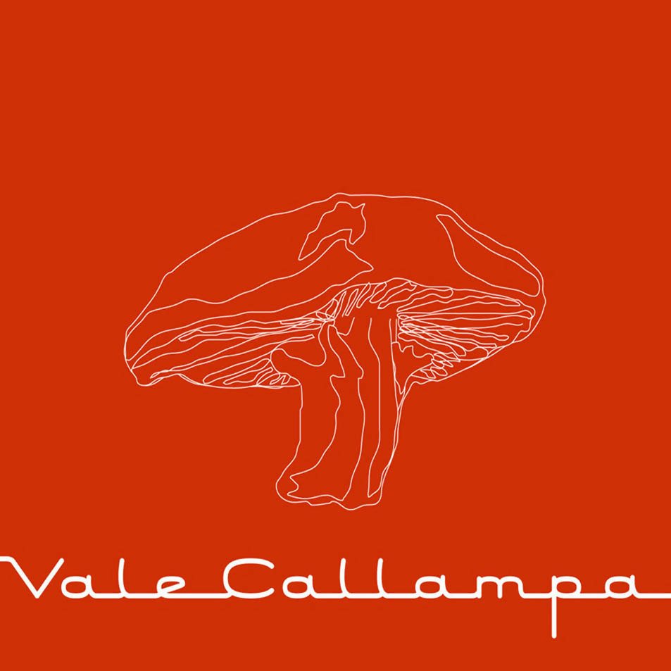 vale callampa café tacvba