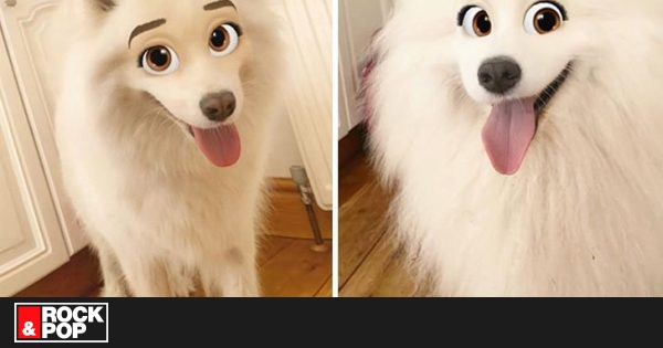 Snapchat Y Nuevo Filtro Que Convierte A Tu Can En Un Personaje De Disney