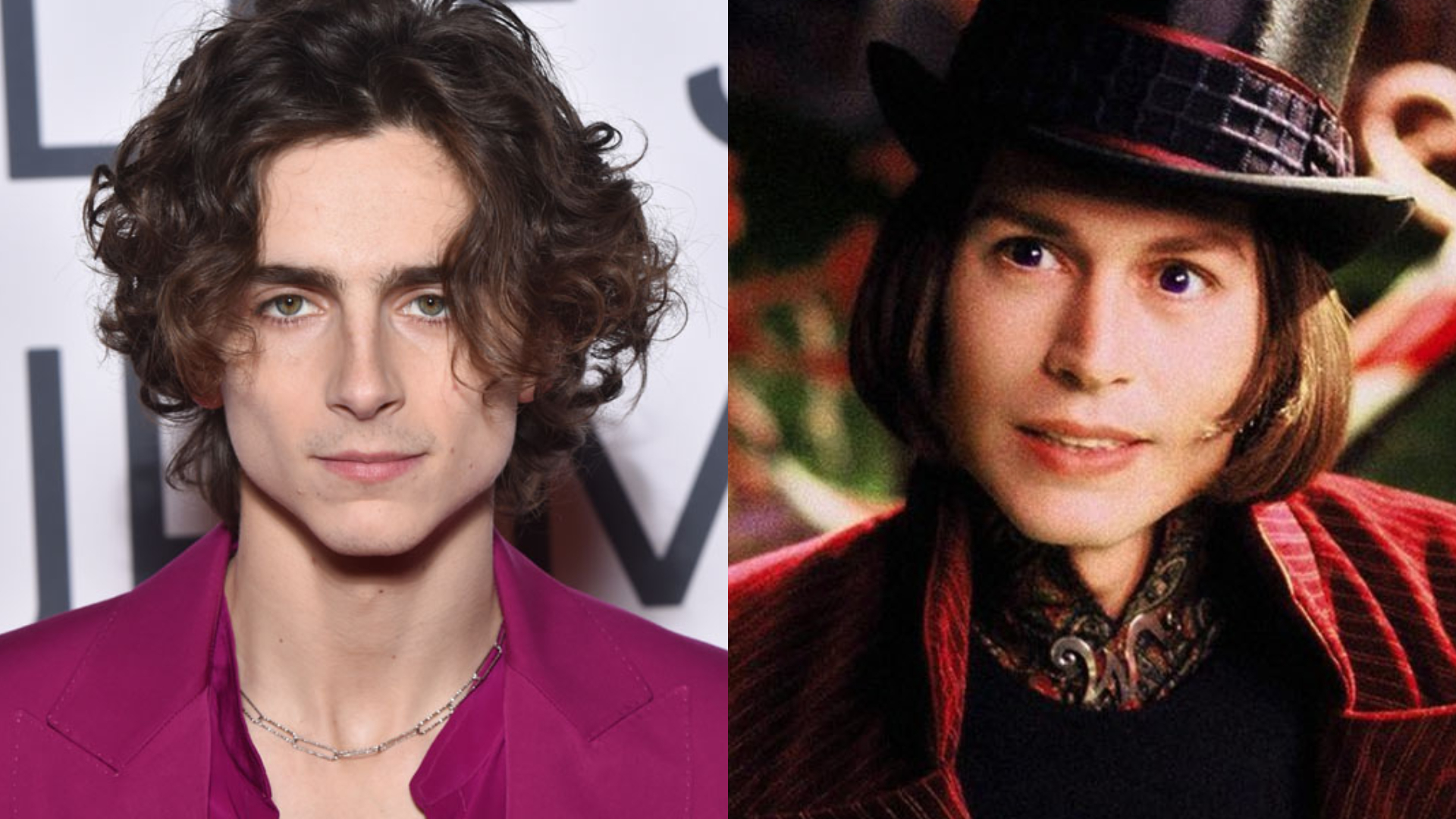 Timothée Chalamet interpretará al joven Willy Wonka en la nueva