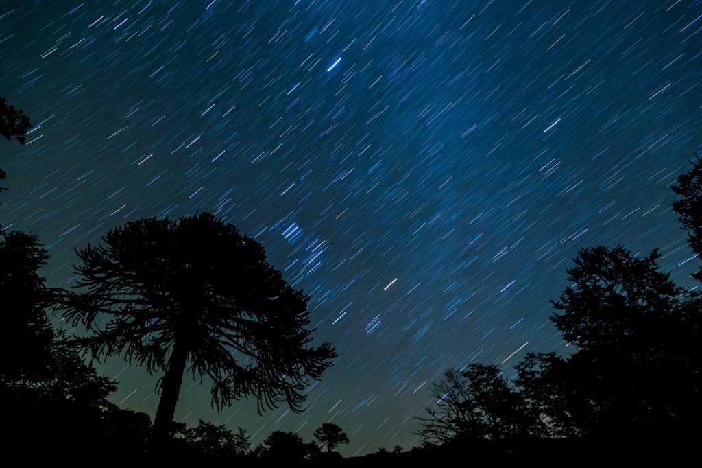 Perseidas Lluvia de estrellas