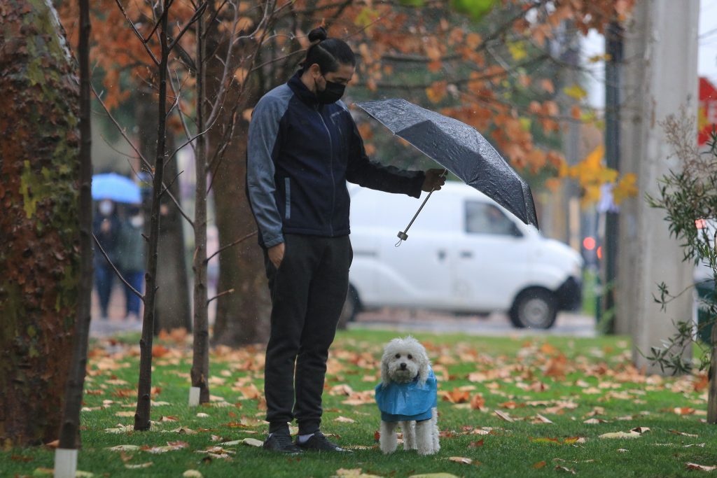 Lluvias próxima semana