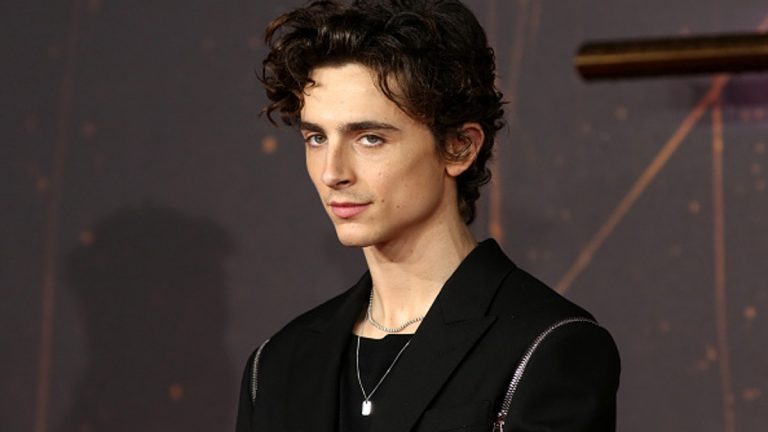 Timothée Chalamet Spider-Man