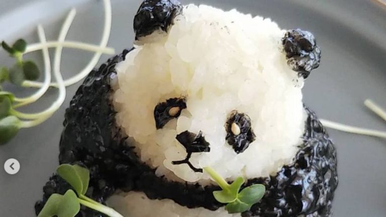 Panda X Onigiri Gekijō