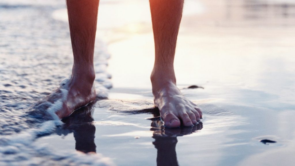 En Que Playas De Chile Regiones El Agua Es Mas Caliente Temperada Calentita Es Menos Fria Temperatura Zona Costera