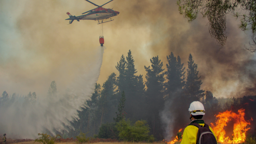 Incendios forestales