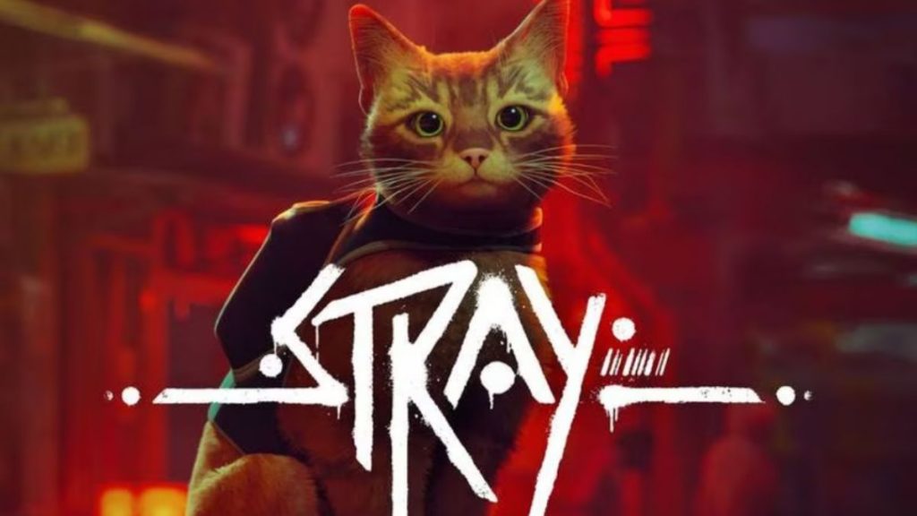 Stray