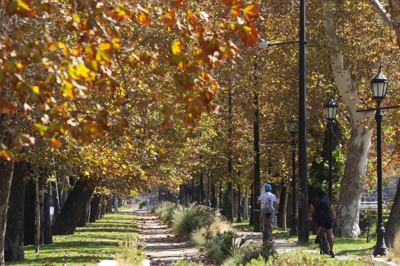 Parque Forestal