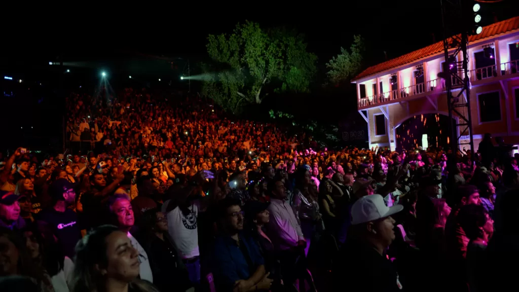 Festival de Olmué