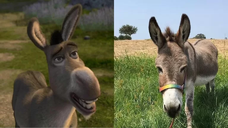 Burro de Shrek